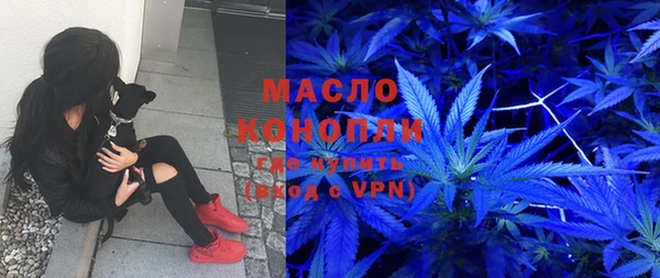 гидра Волоколамск